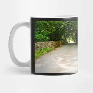 Rural Countryside Road & Trees - Rural Scenery - Ceredigion, Wales Mug